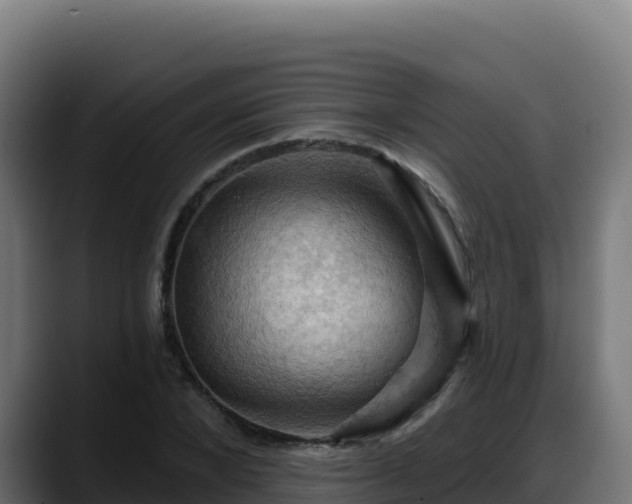 X0000088380880200705291345