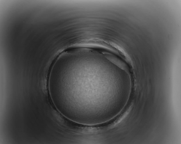 X0000088380881200705291345