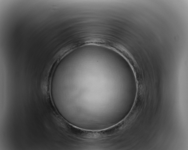 X0000088380882200705291345