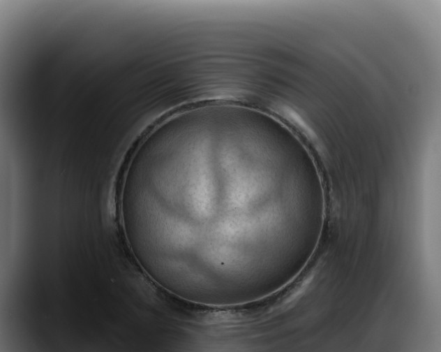 X0000088380883200705291345