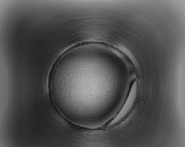 X0000088380884200705291345