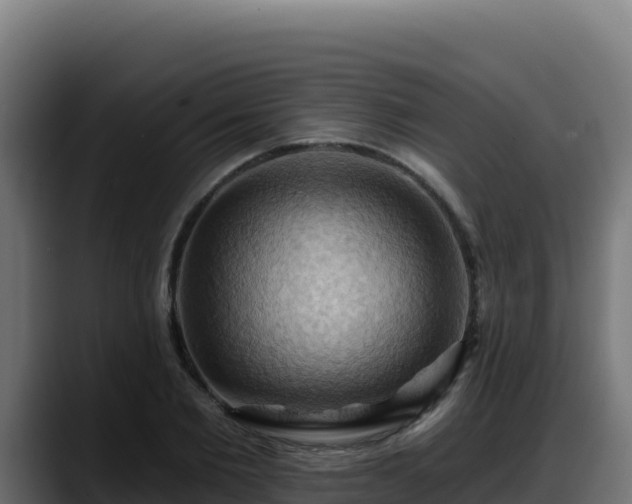 X0000088380885200705291345