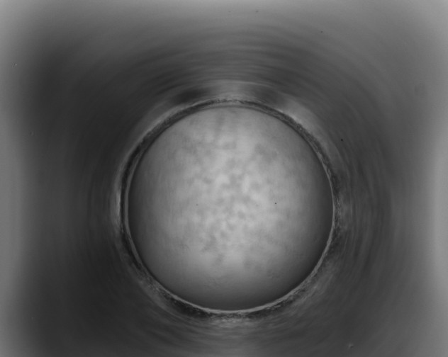 X0000088380886200705291345