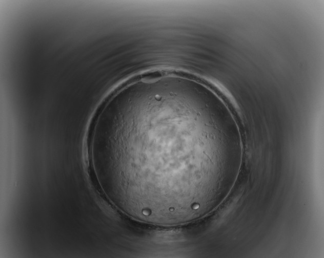 X0000088380887200705291345