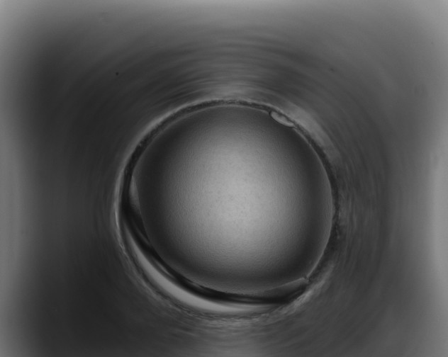 X0000088380888200705291345