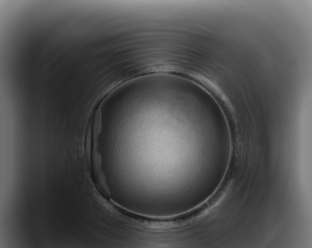 X0000088380889200705291345