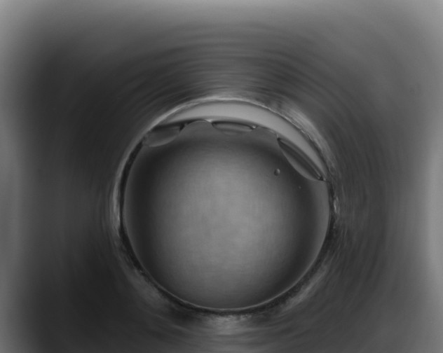 X0000088380892200705291345