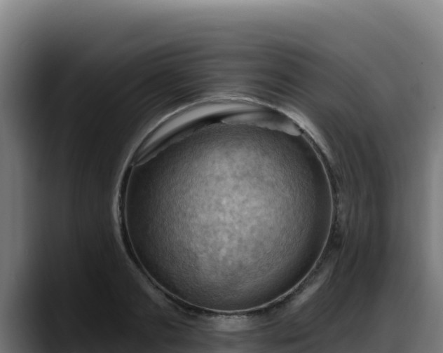 X0000088380893200705291345