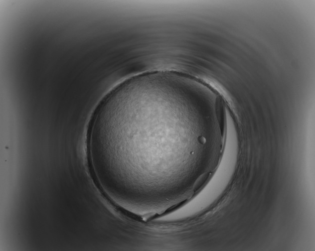X0000088380894200705291345