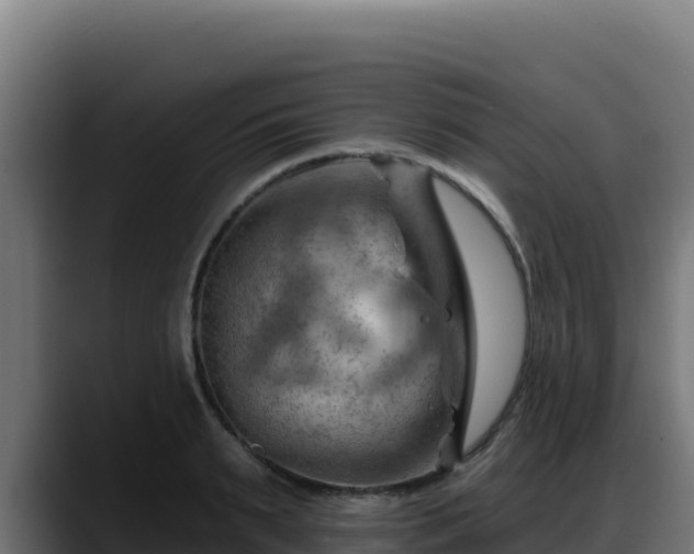 X0000088380895200705291345