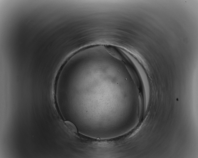 X0000088380896200705291345
