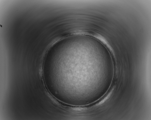 X0000088380897200705291345