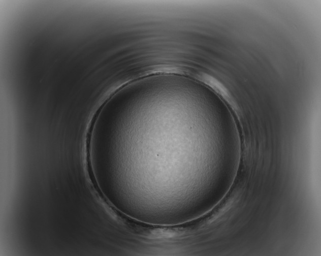 X0000088380898200705291345