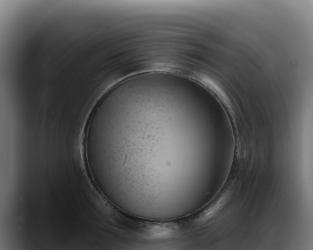 X0000088380899200705291345