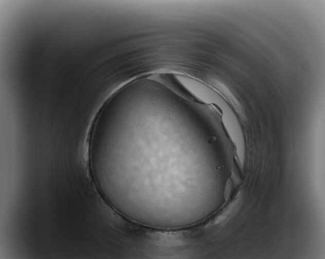 X0000088380900200705291345