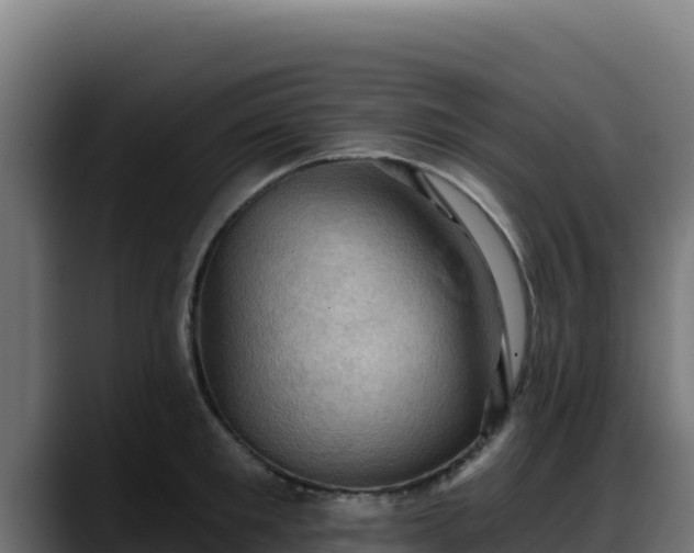 X0000088380901200705291345