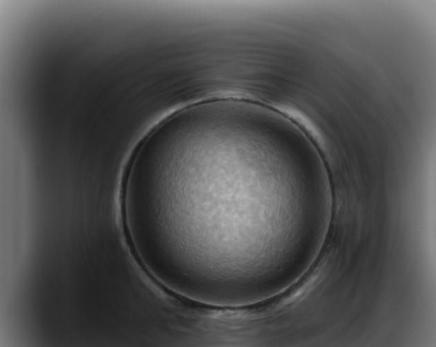 X0000088380902200705291345