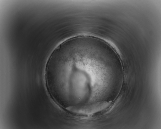 X0000088380903200705291345