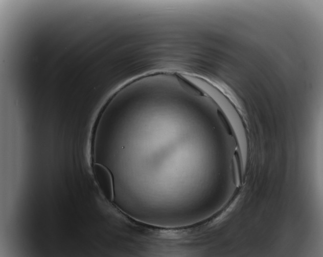 X0000088380904200705291345