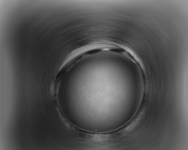 X0000088380905200705291345
