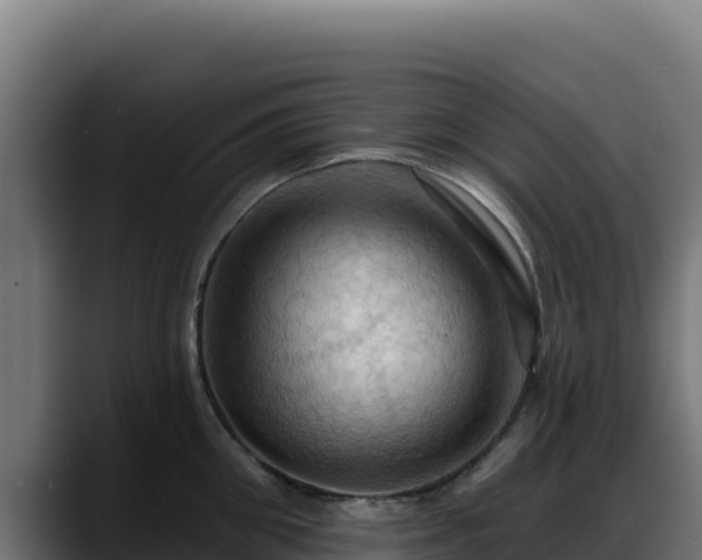X0000088380906200705291345