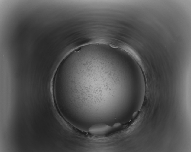 X0000088380907200705291345