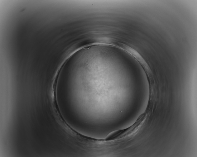 X0000088380908200705291345