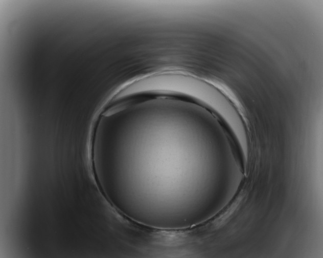 X0000088380910200705291345
