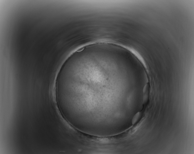 X0000088380911200705291345