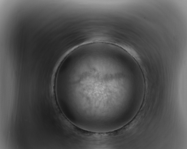 X0000088380912200705291345