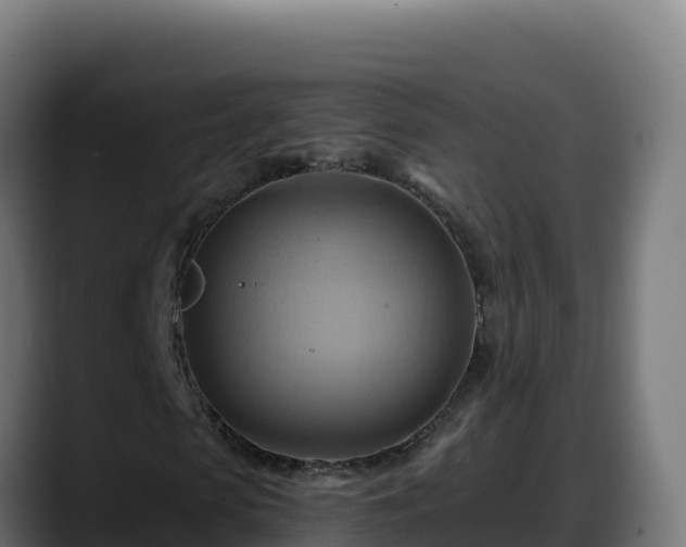 X0000088380913200705291344