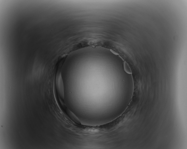 X0000088380914200705291344