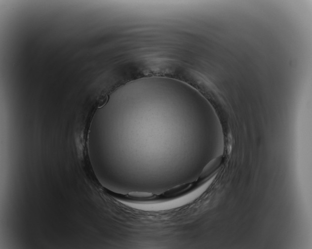 X0000088380915200705291344