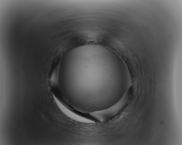 X0000088380916200705291344