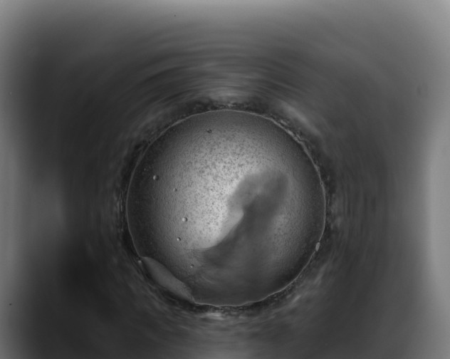 X0000088380917200705291344