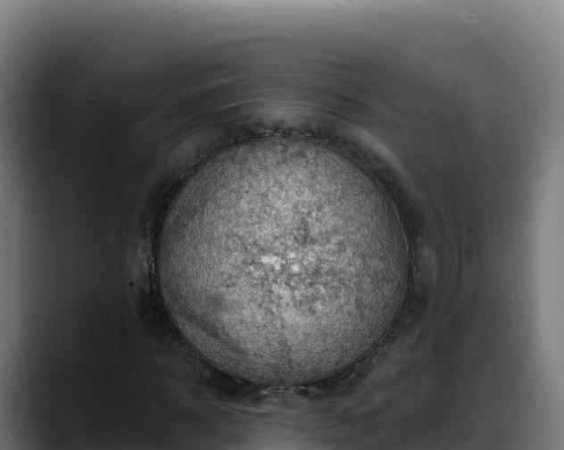 X0000088380918200705291344