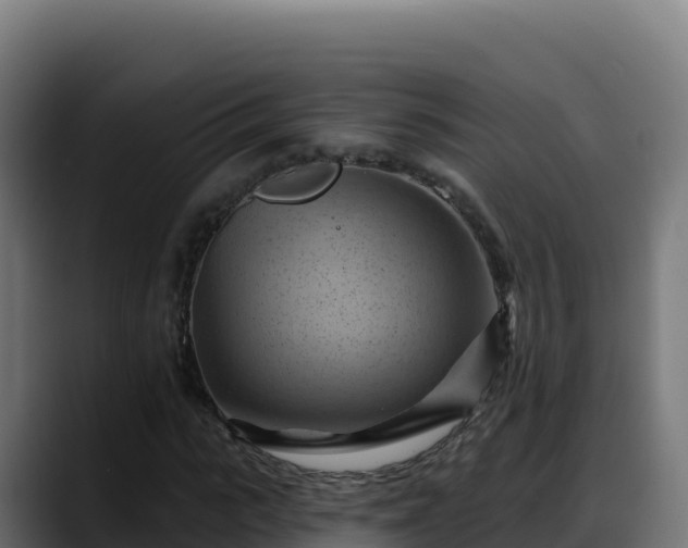 X0000088380919200705291344