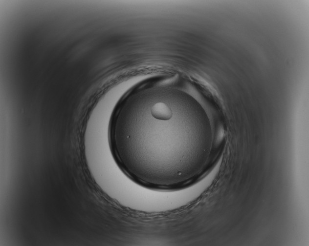 X0000088380920200705291344