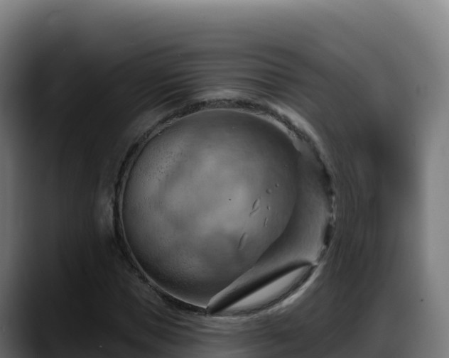 X0000088380921200705291345