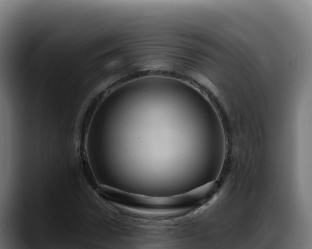 X0000088380922200705291345