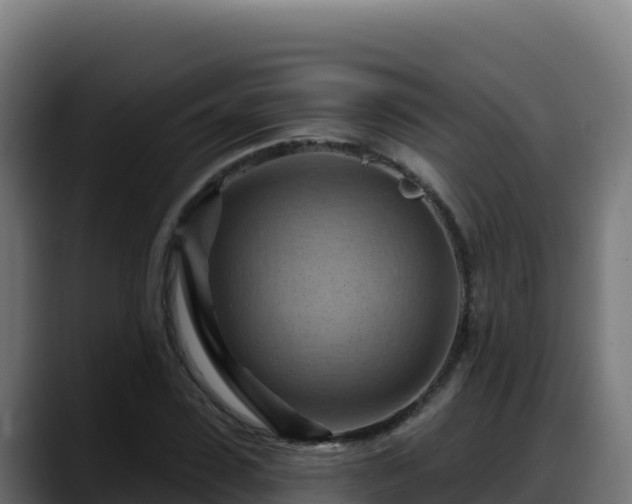 X0000088380923200705291345