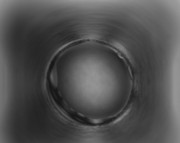 X0000088380924200705291345