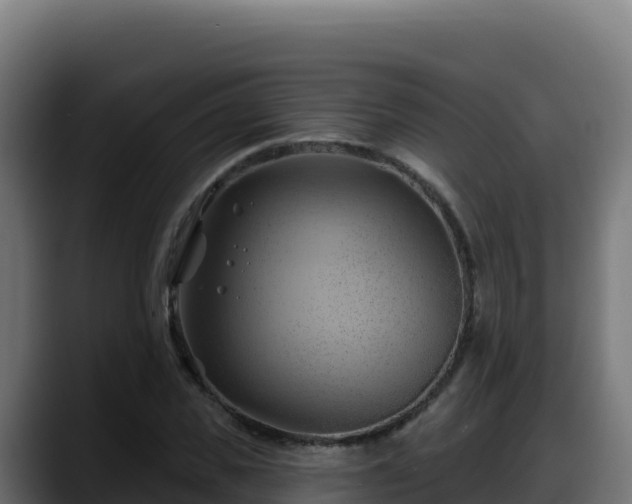 X0000088380925200705291345