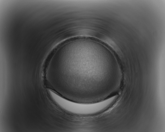 X0000088380926200705291345
