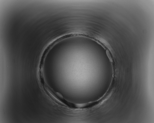 X0000088380928200705291345