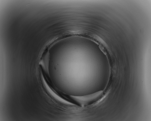 X0000088380930200705291345