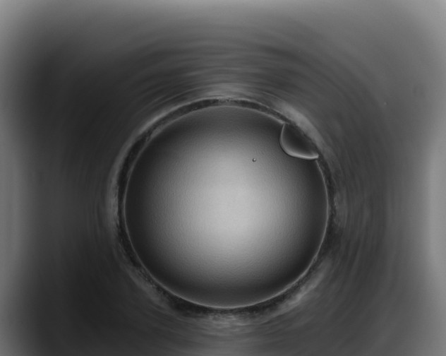 X0000088380931200705291345