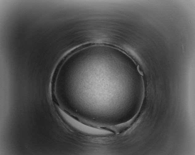 X0000088380932200705291345