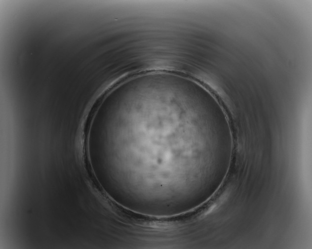 X0000088380933200705291345
