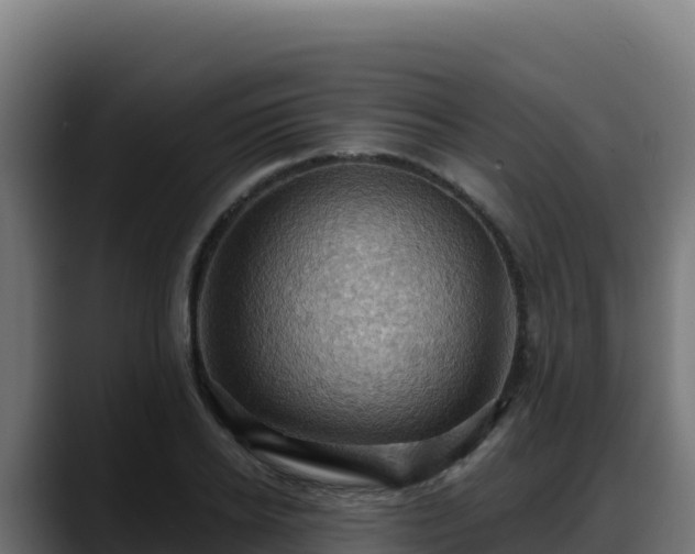 X0000088380934200705291345